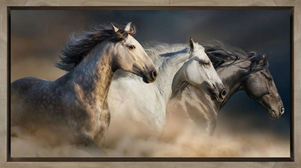 Gallop In The Dust