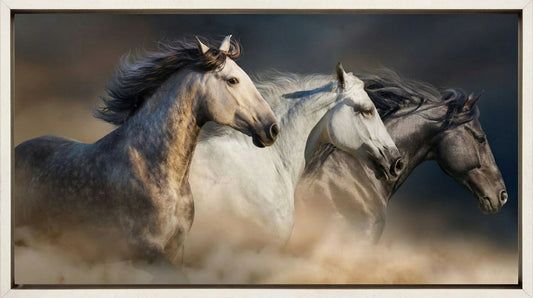 Gallop In The Dust