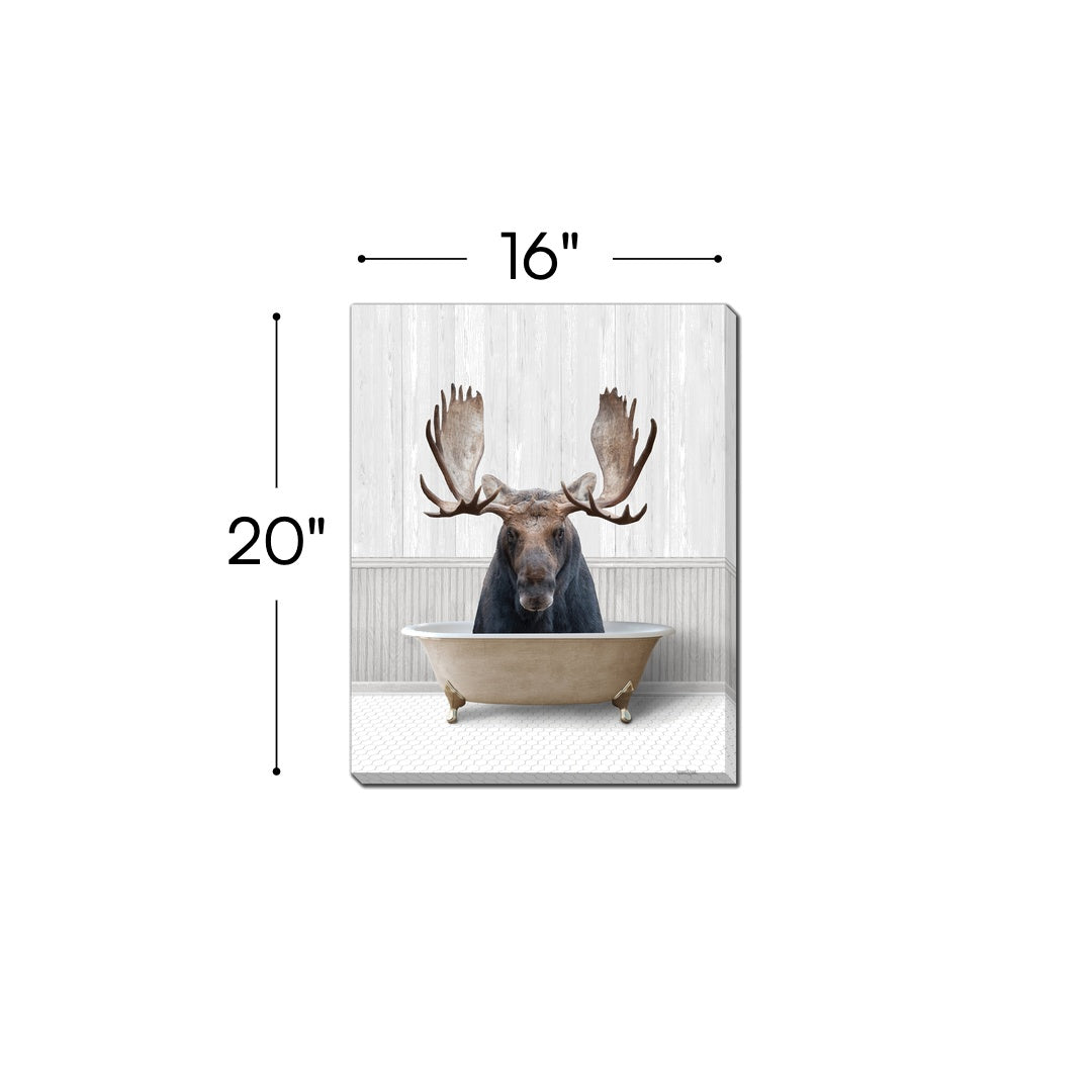 Bath Time Moose