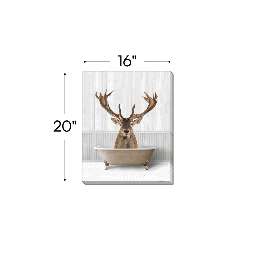 Bath Time Deer