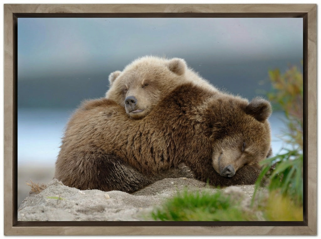 Two Bears