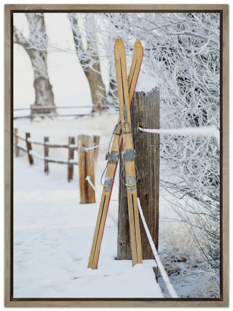 Vintage Skis