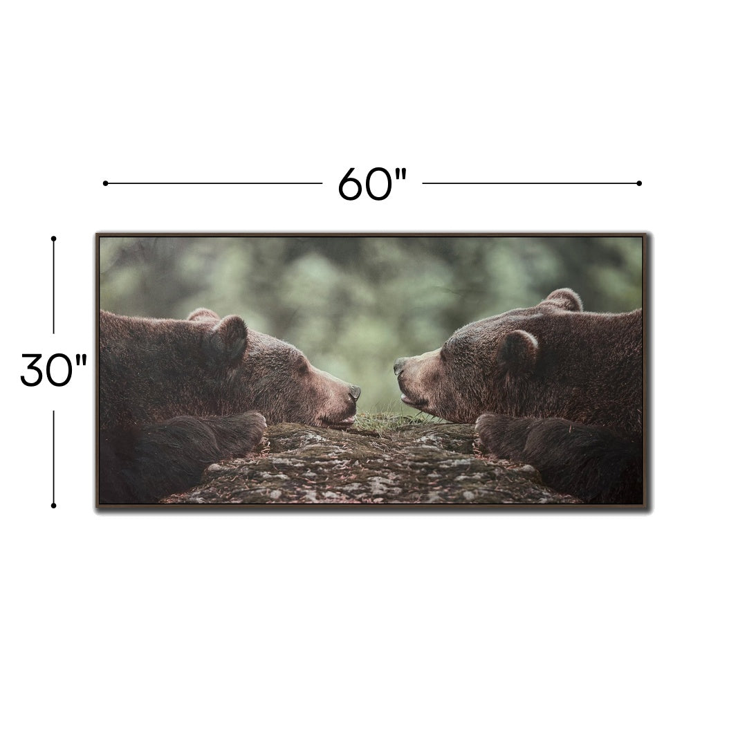 Grizzly Gaze