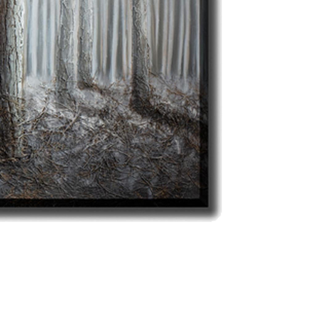Misty Woods