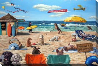 compare product Dog Beach