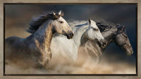Gallop In The Dust