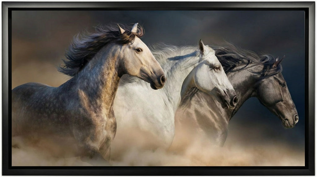 Gallop In The Dust