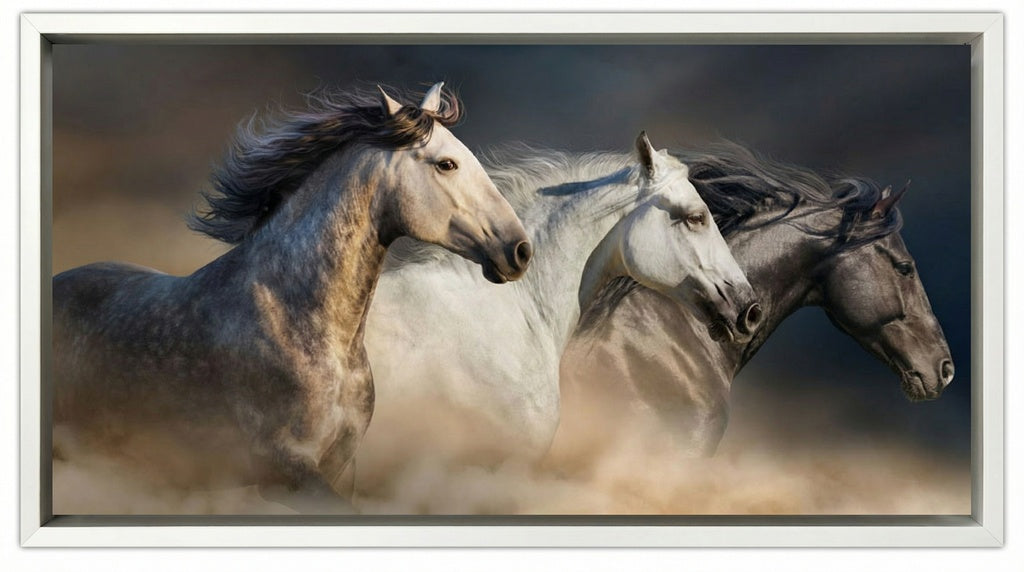 Gallop In The Dust