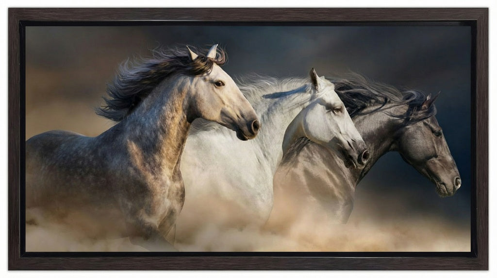 Gallop In The Dust