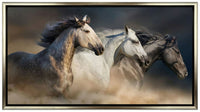 Gallop In The Dust