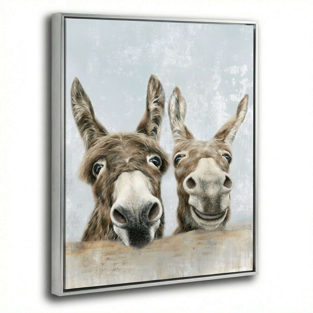 The Donkeys