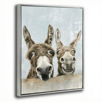 The Donkeys