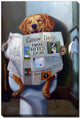 Dog Gone Funny