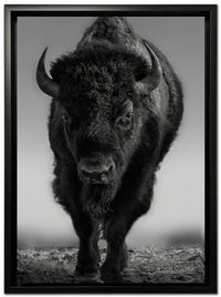 The Beast
