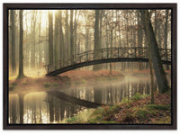 Bridge Over Troubled Waters