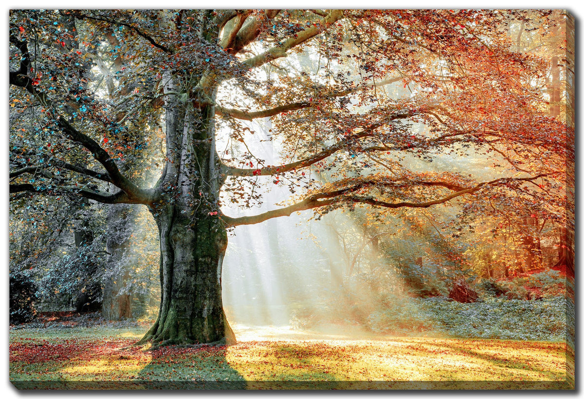 LANDSCAPE