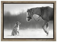 Horse and Retriever