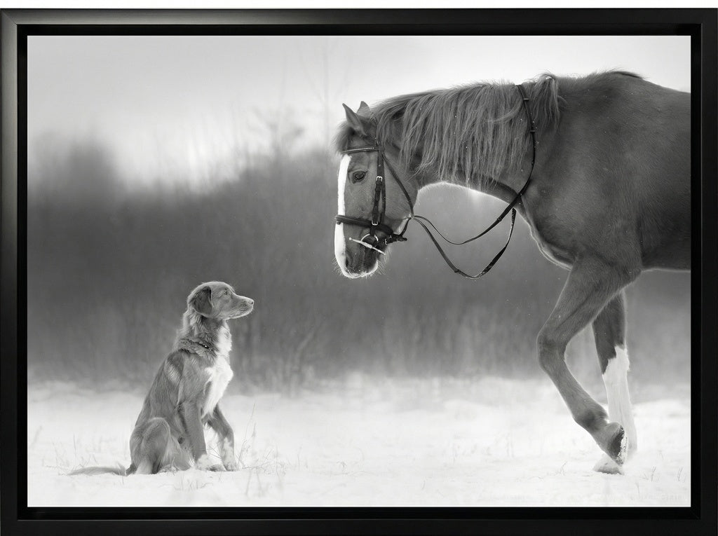Horse and Retriever