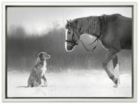 Horse and Retriever