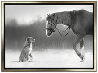 Horse and Retriever