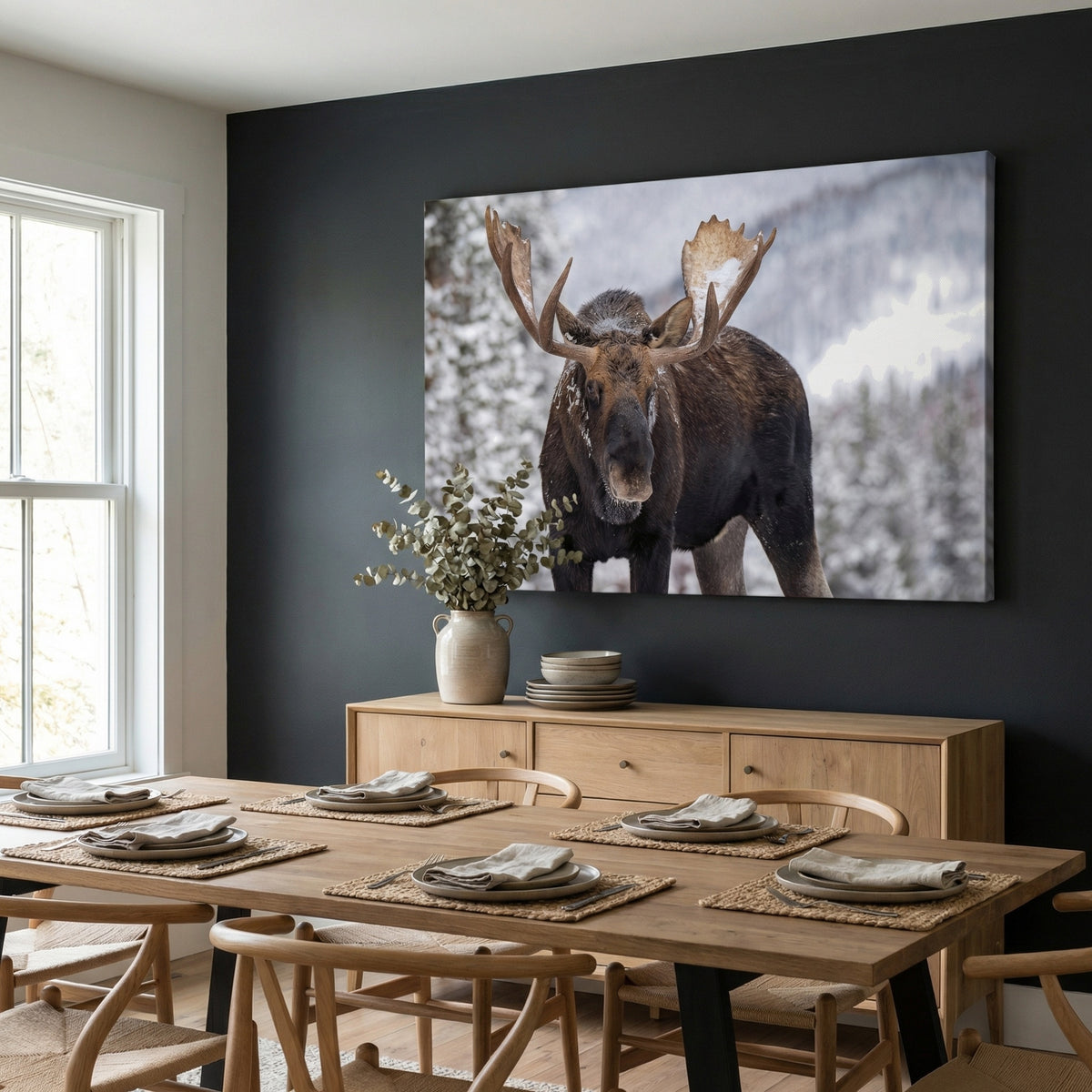 A Moose in Winter in Jasper