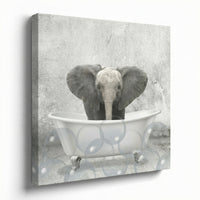 Baby Elephant Bath