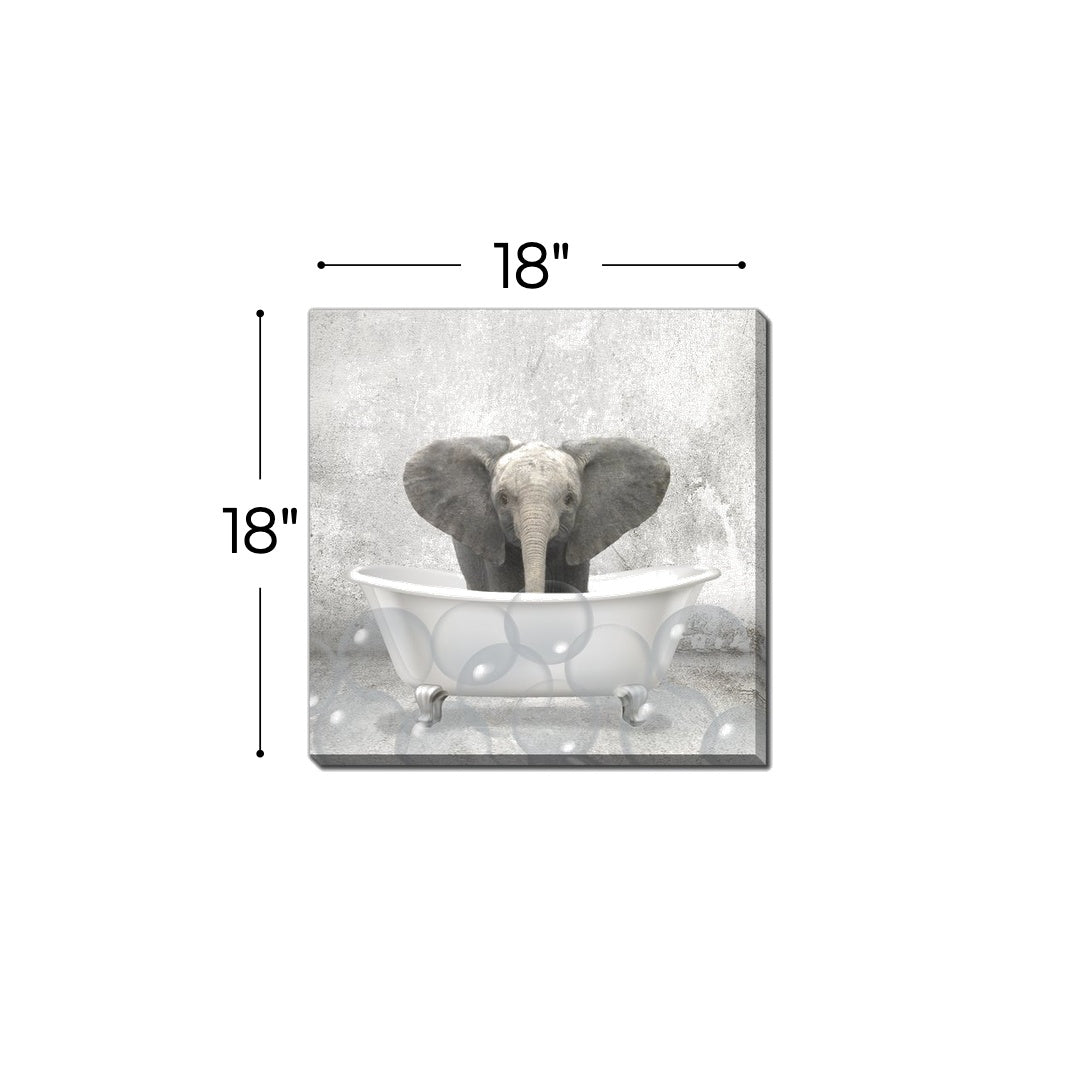 Baby Elephant Bath