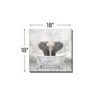 Baby Elephant Bath