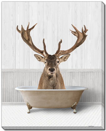 compare product Bath Time Deer