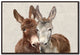 Jack and Diane