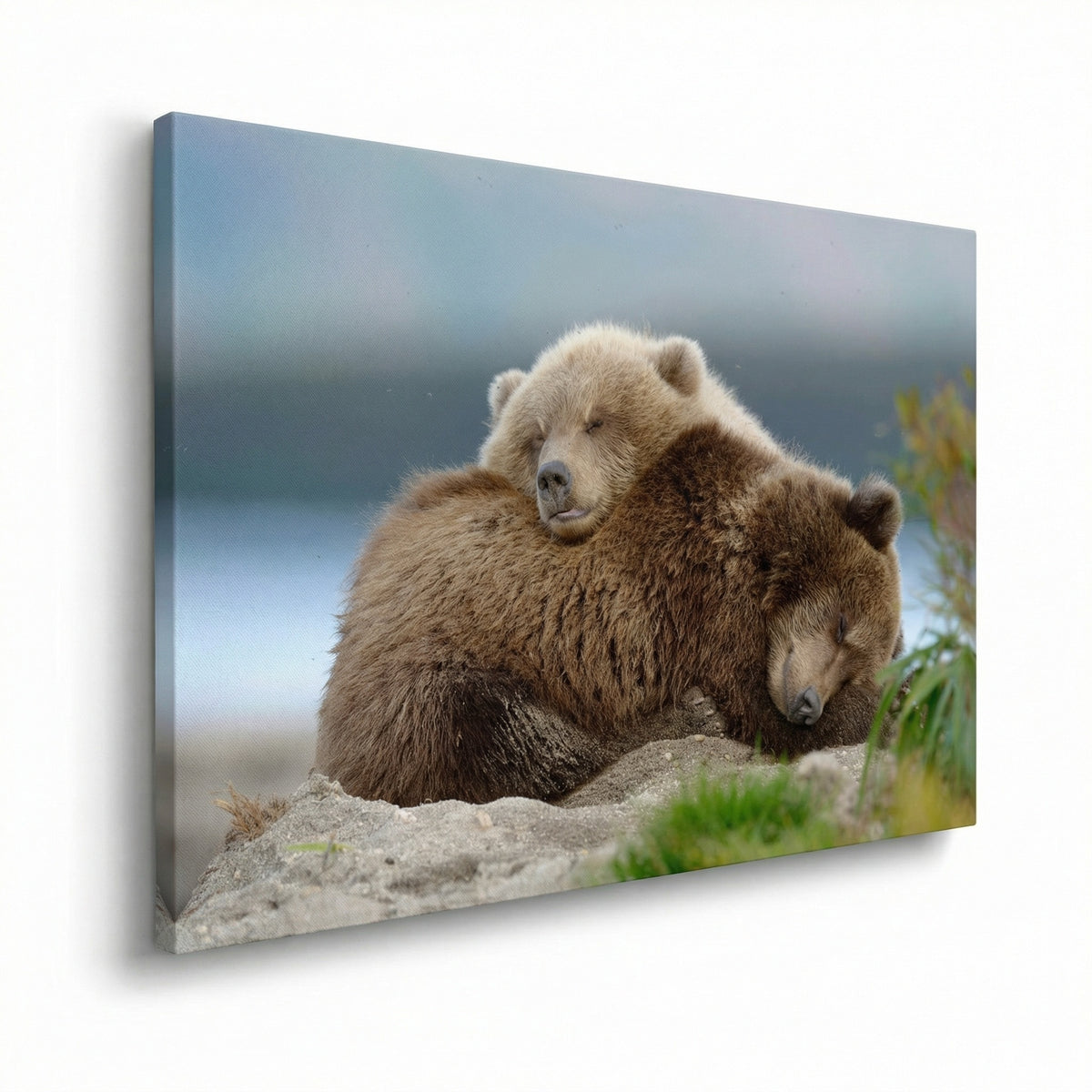 Two Bears