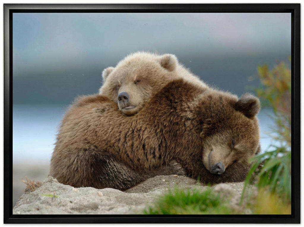Two Bears