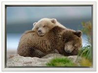Two Bears