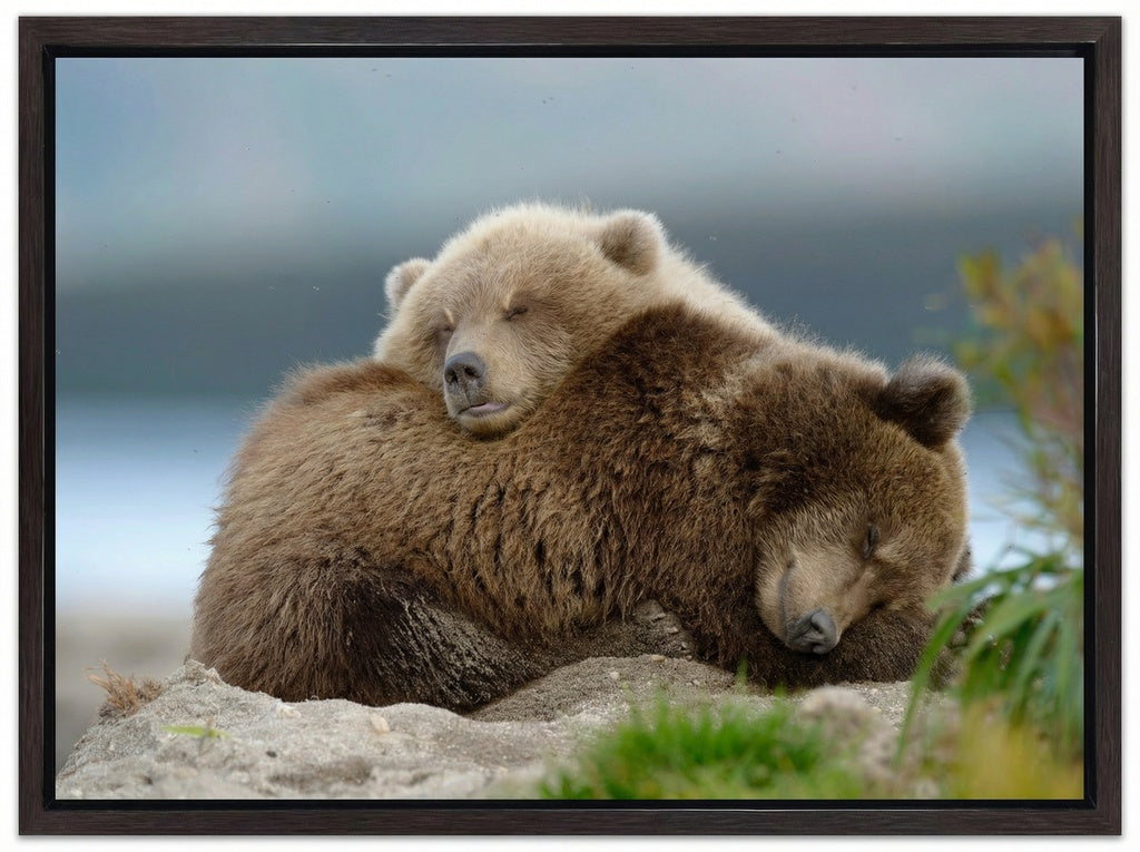 Two Bears