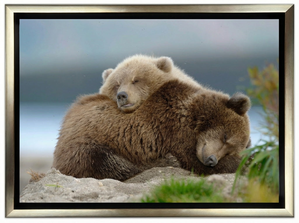 Two Bears