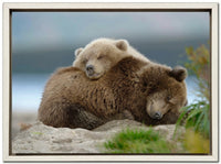 Two Bears