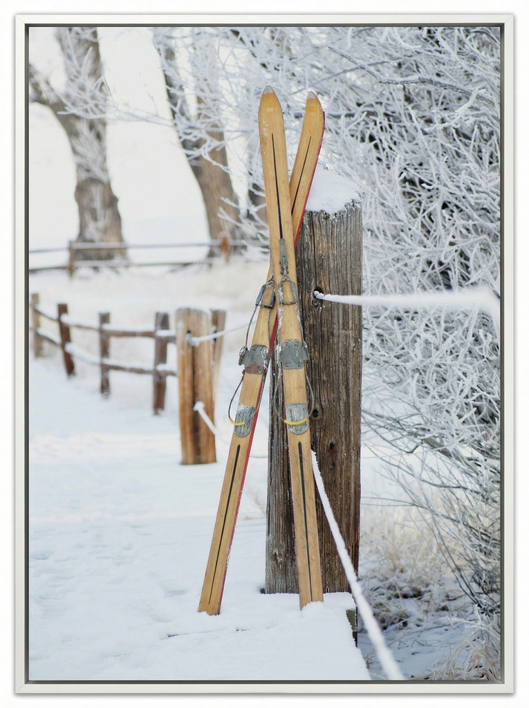 Vintage Skis