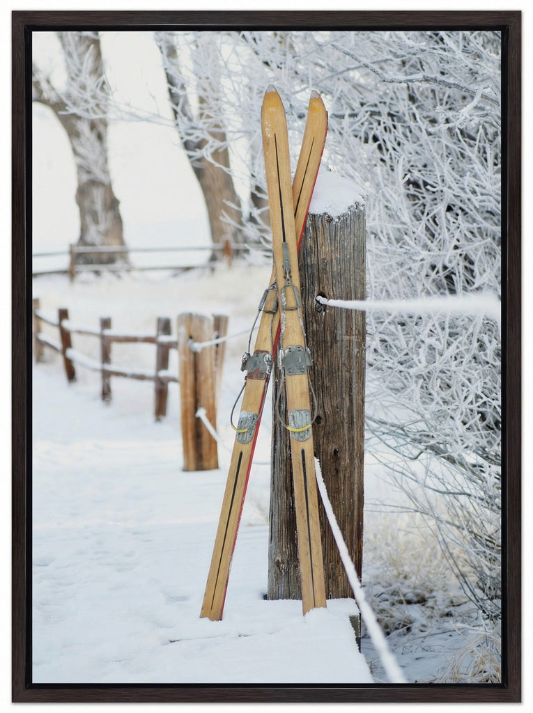 Vintage Skis