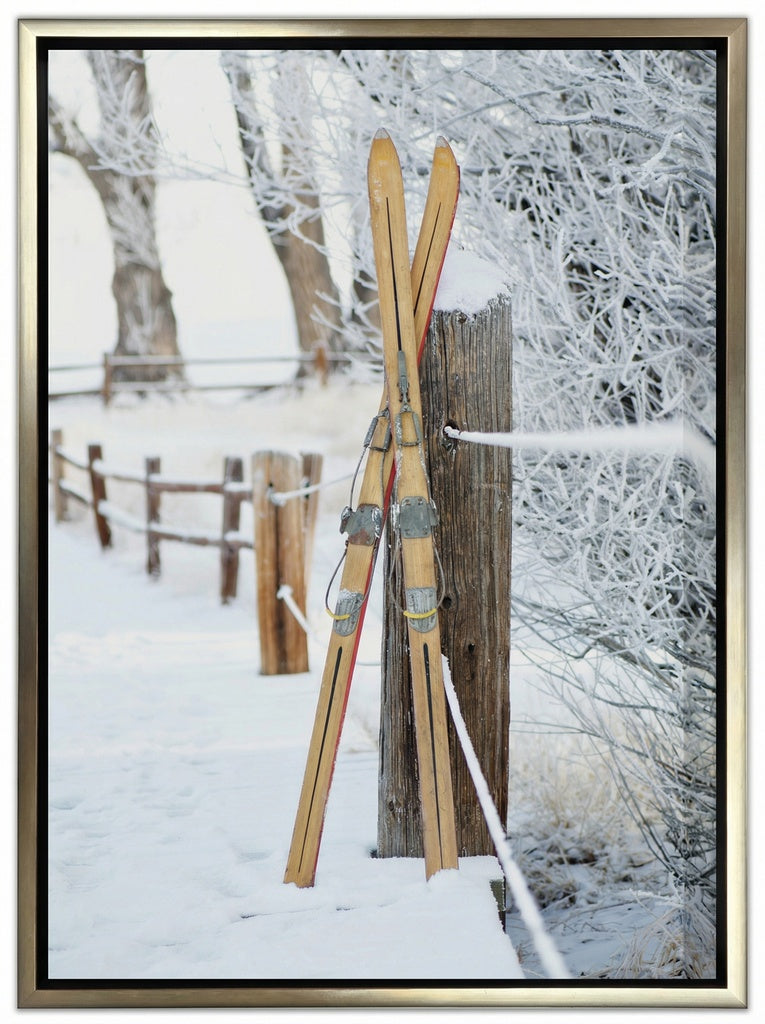 Vintage Skis