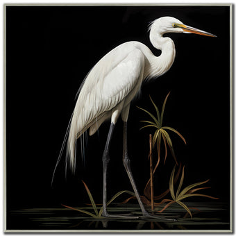 compare product Midnight Heron I