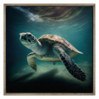 Green Sea Turtle