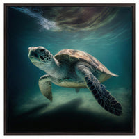 Green Sea Turtle