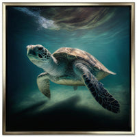 Green Sea Turtle