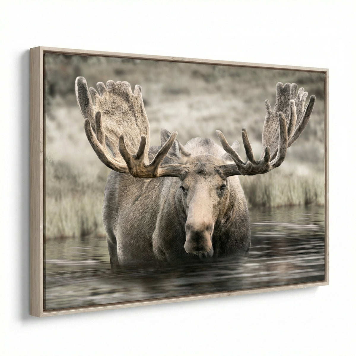 Moose Hot Springs