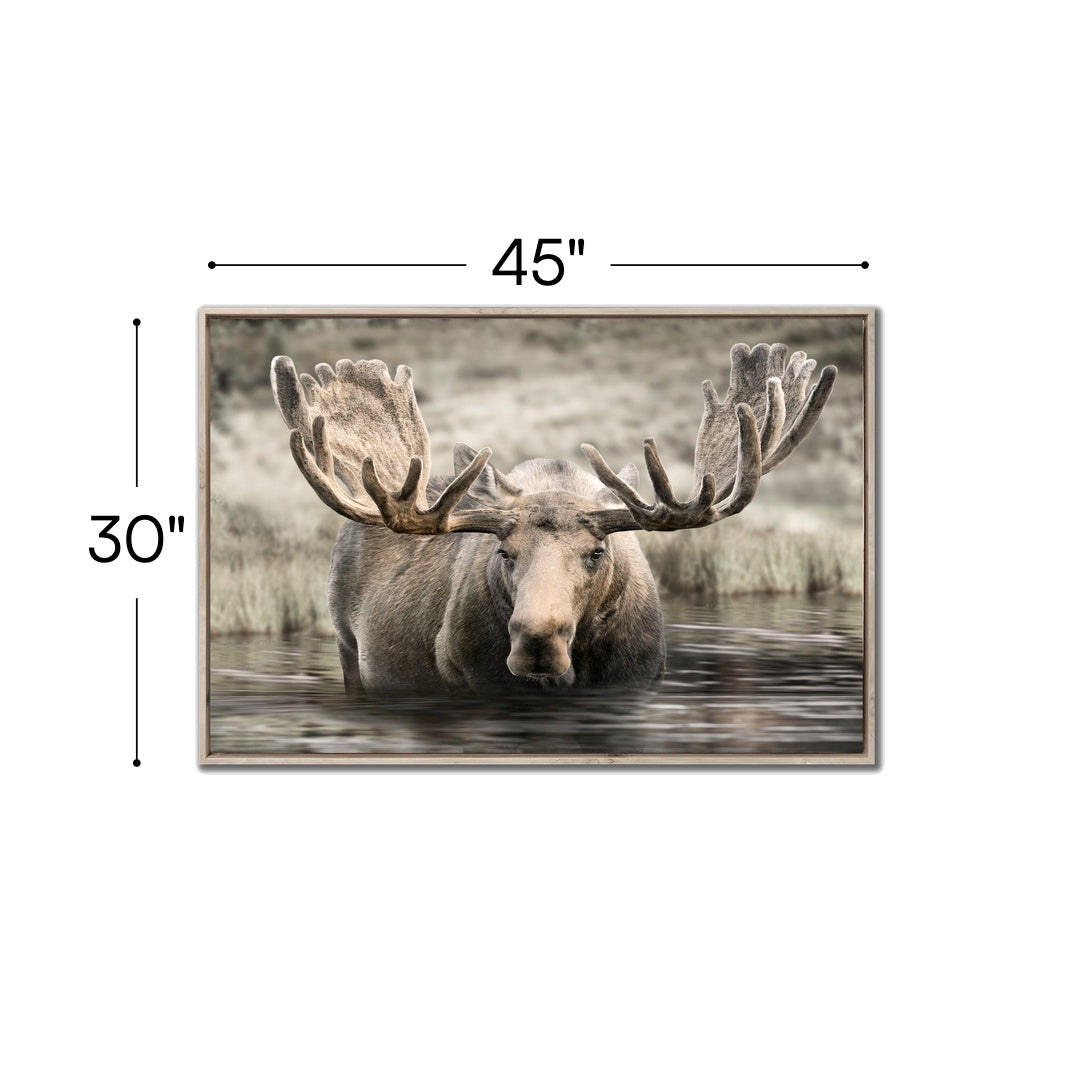 Moose Hot Springs