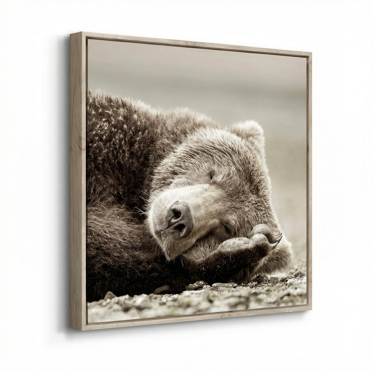 Sleeping Bear