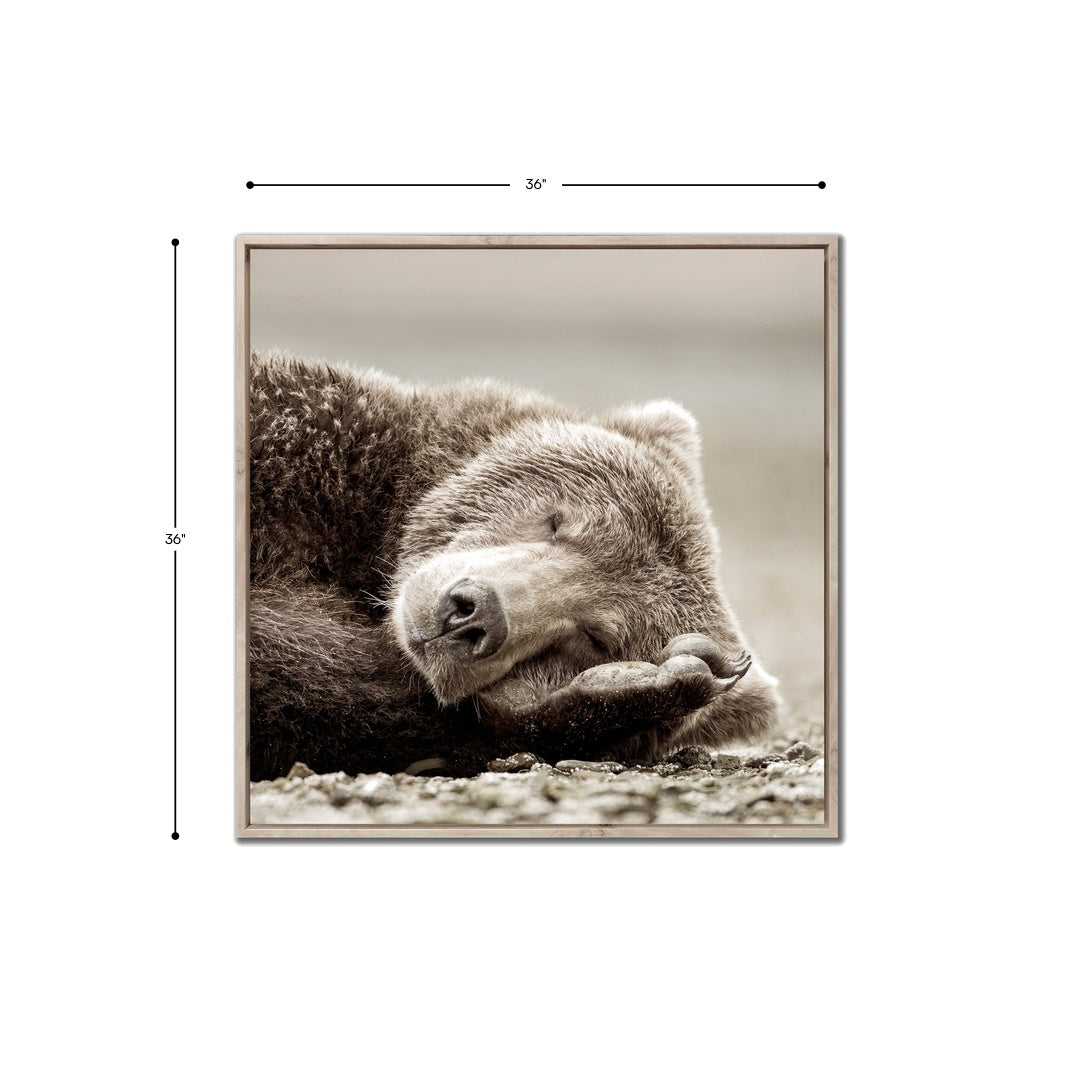 Sleeping Bear