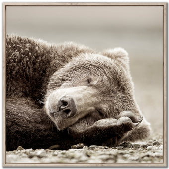 compare product Sleeping Bear