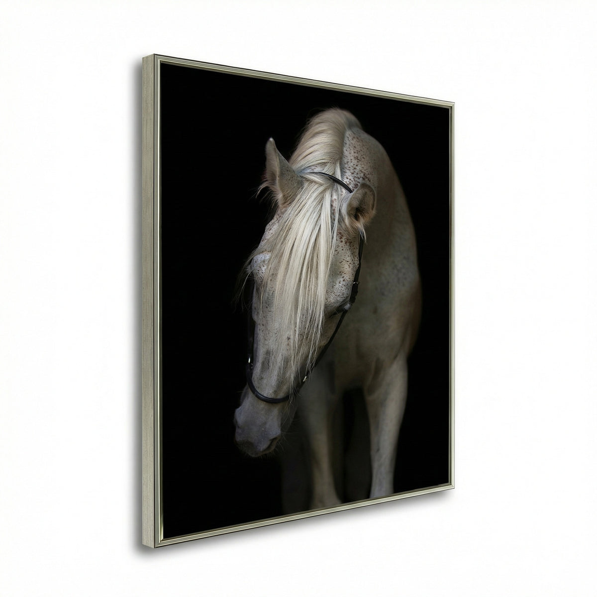 Mystical Horse