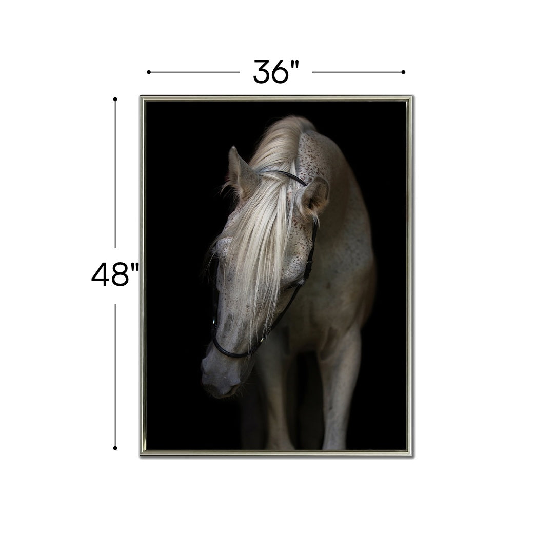 Mystical Horse